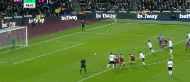 回到主教练岗位是什么感觉？沃格尔：就像骑自行车一样自然